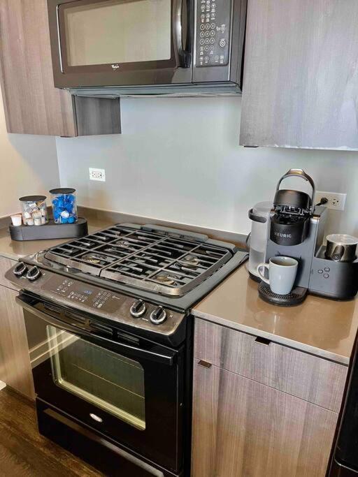 Апартаменты Penthouse In South Loop Чикаго Экстерьер фото